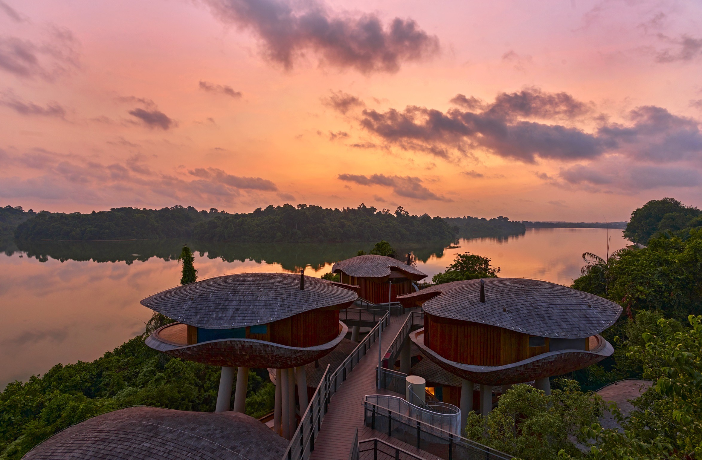 Mandai Rainforest Resort at dusk, treetops above the reservoir
