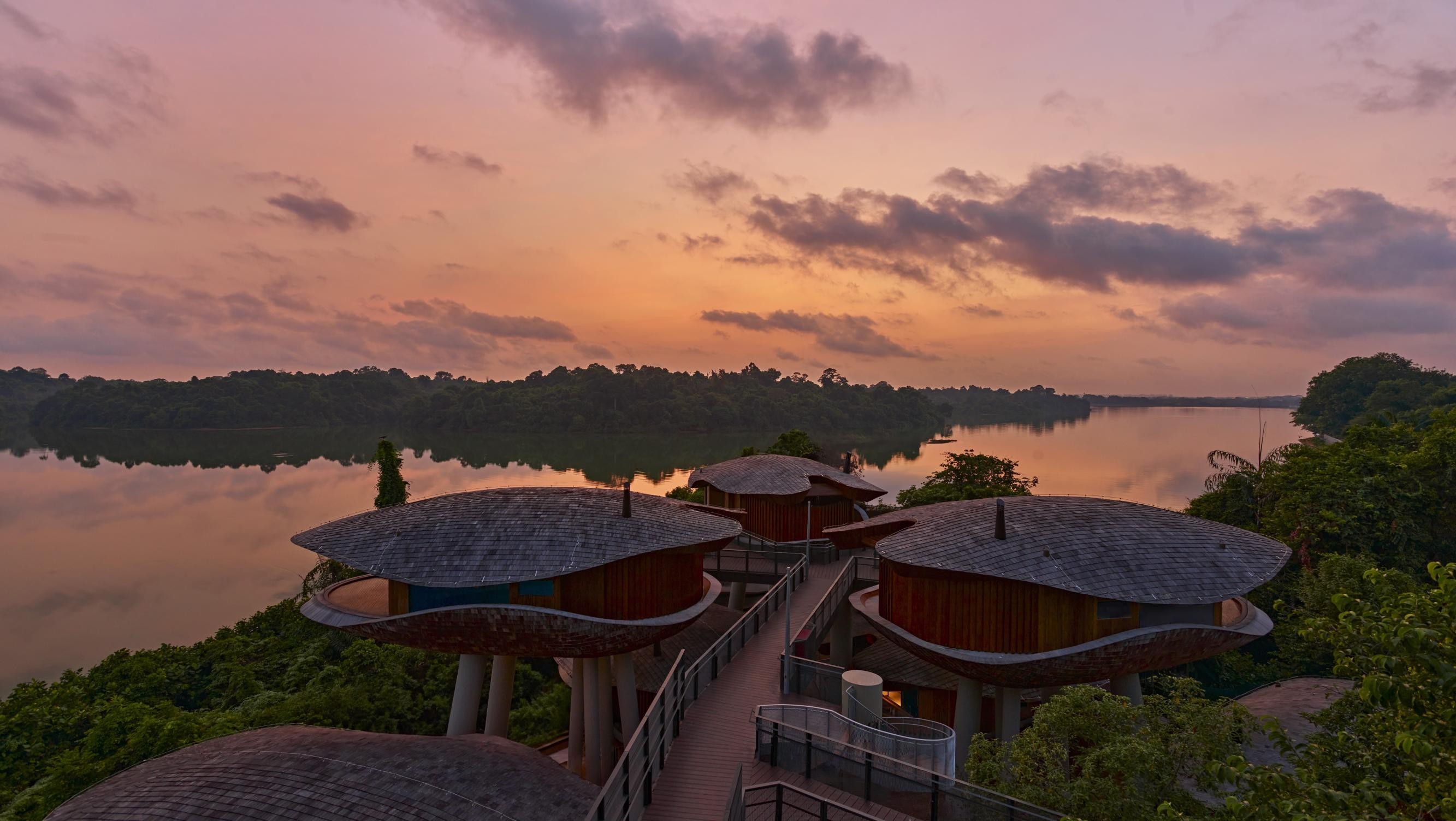 Mandai Rainforest Resort suites amid the forest canopy at sunset